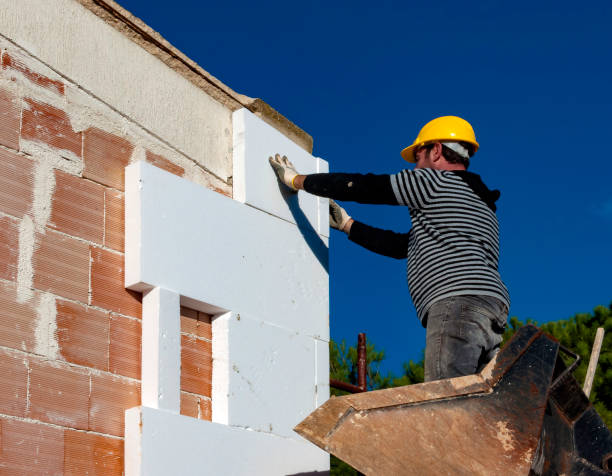 Best Insulation Maintenance and Repair in New Lenox, IL
