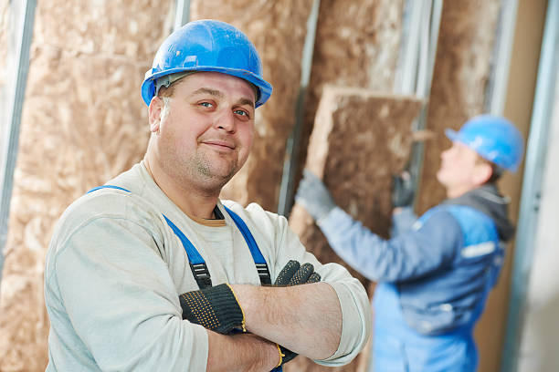 Best Geographic-Specific Insulation Services in New Lenox, IL